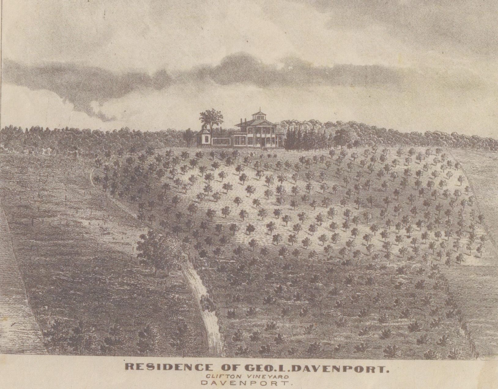 Clifton Vineyard